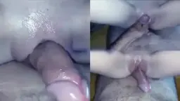 Memek Mulus Gesek ke Kontol
